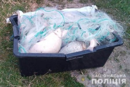 В Одесской области правоохранители разоблачили двух граждан за незаконный вылов и продажу водных биоресурсов (фото)
