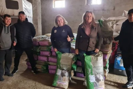 Немецкие партнеры передали Одесскому ипподрому и клубам корм для лошадей (фото)