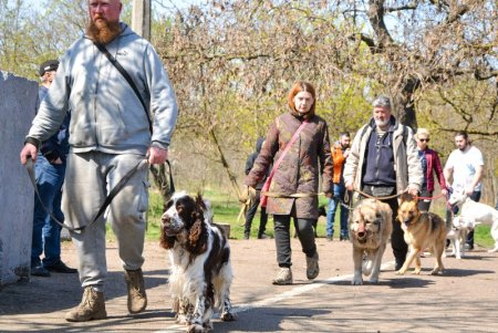 В Одессе объявили «собачью мобилизацию» (видео, фото)