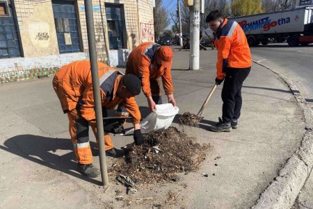 За прошедшие сутки коммунальными службами Одессы выполнено 35 заявок по устранению аварийных ситуаций и текущему ремонту (фото)