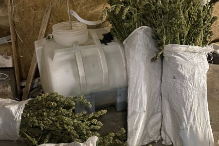 ГБР провело масштабную спецоперацию в Одесской области по выявлению пособников оккупантов