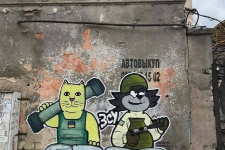 Патриотические граффити с изображением котиков украшают одесские здания (фото)