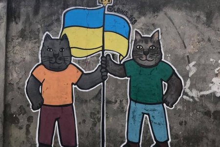 Патриотические граффити с изображением котиков украшают одесские здания (фото)