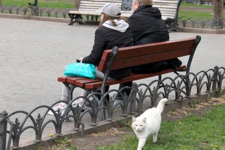 Дерибасовская без противотанковых ежей и работающий фонтан в Городском саду (фоторепортаж) 