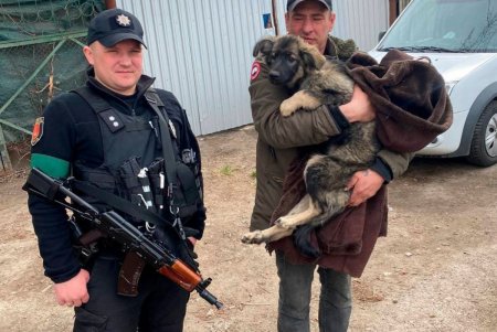 В Суворовском районе патрульные спасли слепого щенка, который провалился в яму (фото) 