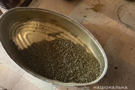 В Одесской области пять человек незаконно хранили наркотики (фото)