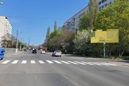 В трех районах города появилась новая пешеходная разметка (фото)