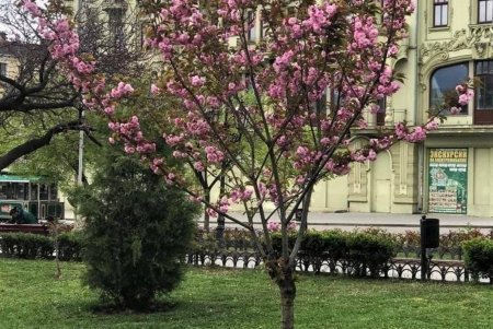 Коммунальщики очистили территорию Горсада после зимы (фото)