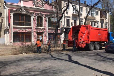 Одесские коммунальщики выполняют работы по валке аварийных деревьев (фото)