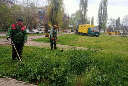 Одесские коммунальщики выполняют работы по валке аварийных деревьев (фото)