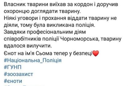 В Одесском зоопарке поселился спасенный неравнодушными гражданами енот Сема (фото)