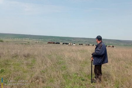 В Березовском районе мужчина сжигал мусор и сухие растения, из-за чего на пяти сотках возник пожар