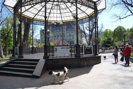 В Одессе открылась выставка украинской военной фотографии «Пліч-о-пліч» (фото)