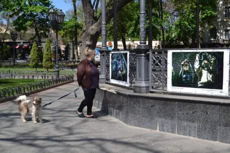 В Одессе открылась выставка украинской военной фотографии «Пліч-о-пліч» (фото)