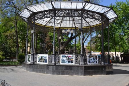В Одессе открылась выставка украинской военной фотографии «Пліч-о-пліч» (фото)