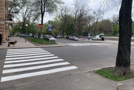 Коммунальщики нанесли дорожную разметку на Маразлиевской, отремонтировали кровлю на Шилова, убрали в Киевском и Суворовском районах (фото)