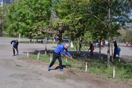 В парке Шевченко и на склонах Ланжерона прошел субботник (фото) 