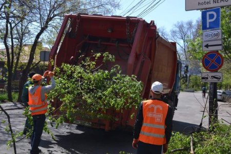 В парке Шевченко и на склонах Ланжерона прошел субботник (фото) 