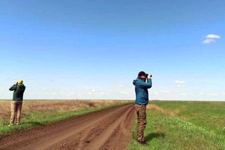  Редкий подорлик, лани и лисы: в Тарутинской степи кипит жизнь (фото)