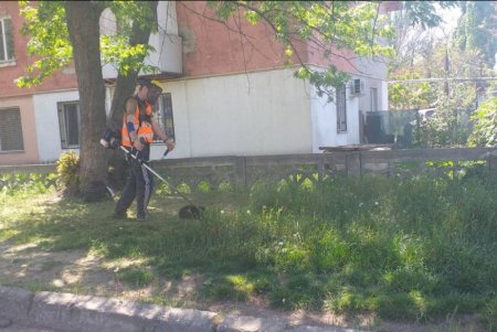 Коммунальщики продолжают проверку систем центрального отопления, а также покос травы в разных районах города (фото)