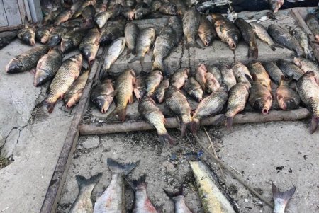 В Одесской области задержали браконьера, который вылавливал рыбу во время нереста из водохранилища национального парка (фото)