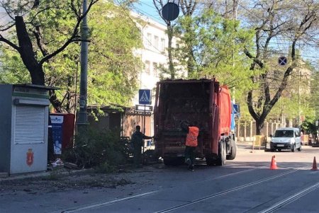 В Горсаду заложен газон общей площадью 1000 квадратных метров (фото)