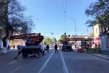 В Горсаду заложен газон общей площадью 1000 квадратных метров (фото)