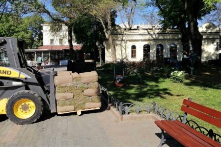 В Горсаду заложен газон общей площадью 1000 квадратных метров (фото)