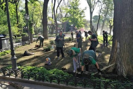 В Горсаду заложен газон общей площадью 1000 квадратных метров (фото)
