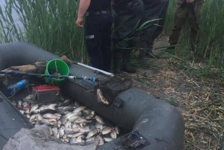 Двое браконьеров на озере Ялпуг выловили запрещенной электроудочкой рыбы на 270 тысяч гривен (фото)
