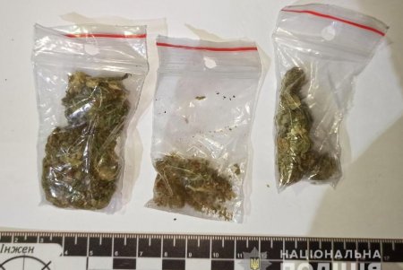 В Одессе разоблачили в незаконном хранении наркотиков четырех женщин и трех мужчин (фото)