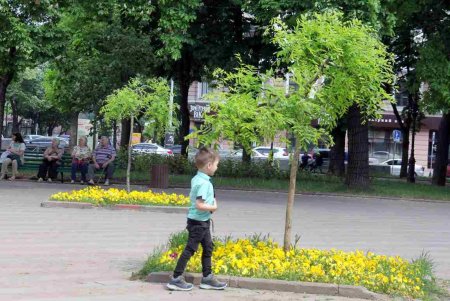 Несмотря на войну, Соборка живет привычной и размеренной жизнью (фоторепортаж) 