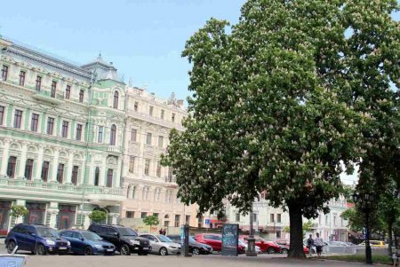 Несмотря на войну, Соборка живет привычной и размеренной жизнью (фоторепортаж) 