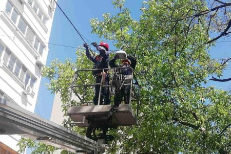Сразу на нескольких улицах Приморского района появилось новое освещение (фото)