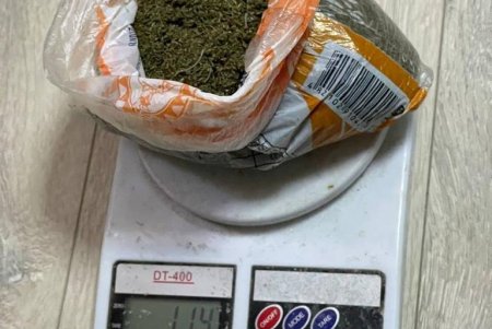 Брали по три тысячи долларов: жители Болградского района организовали преступную схему по переправке мужчин через границу (фото)