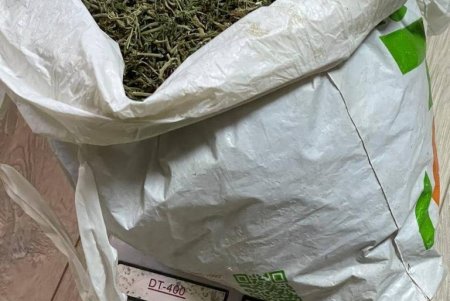 Брали по три тысячи долларов: жители Болградского района организовали преступную схему по переправке мужчин через границу (фото)