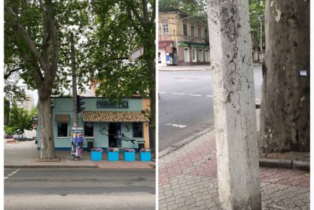 В Одессе продолжается демонтаж рекламных конструкций, размещенных с нарушениями (фото)