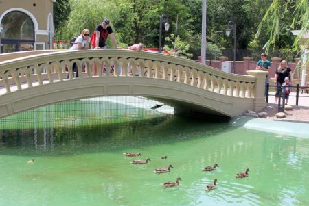 В Одесском зоопарке прошел День волонтера (фоторепортаж) 
