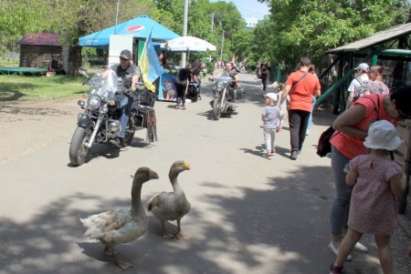 В Одесском зоопарке прошел День волонтера (фоторепортаж) 