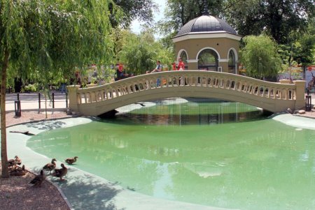 В Одесском зоопарке прошел День волонтера (фоторепортаж) 