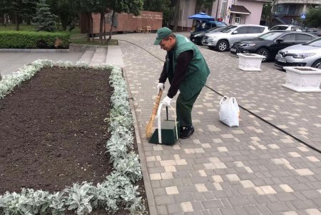 Первые летние цветы высажены в парке Шевченко и Горсаду (фото)