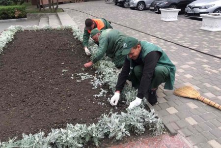 Первые летние цветы высажены в парке Шевченко и Горсаду (фото)