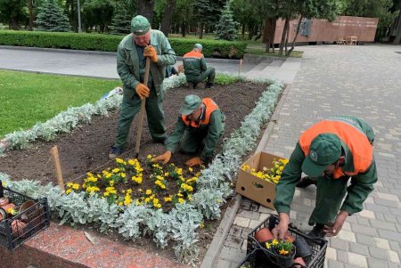 Первые летние цветы высажены в парке Шевченко и Горсаду (фото)