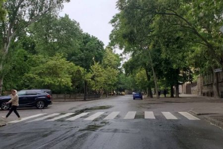 В Приморском и Суворовском районах обновлена дорожная разметка (фото)