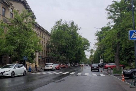 В Приморском и Суворовском районах обновлена дорожная разметка (фото)