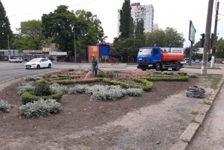 В разных районах города коммунальщики разбили клумбы с летними цветами (фото)