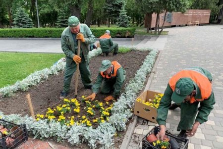 В разных районах города коммунальщики разбили клумбы с летними цветами (фото)