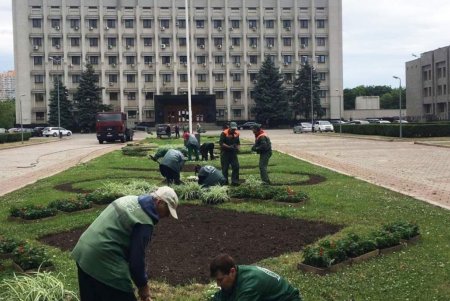 К началу летнего сезона Одессу украсят цветочными вазами (фото)