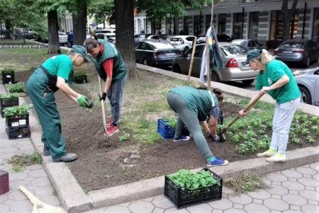 К началу летнего сезона Одессу украсят цветочными вазами (фото)