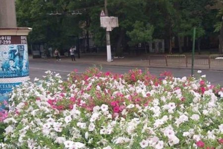 К началу летнего сезона Одессу украсят цветочными вазами (фото)